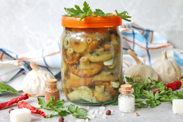 Маринованные волнушки