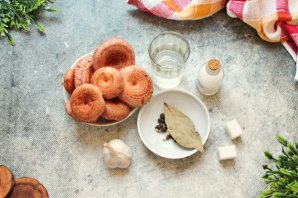 Маринованные волнушки