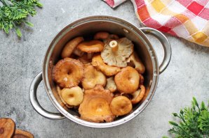 Маринованные волнушки